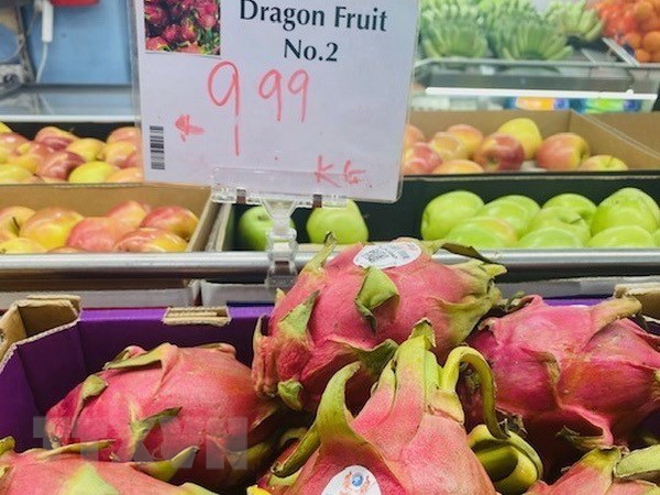 Vietnamese dragon fruit highly welcomed by Australian consumers